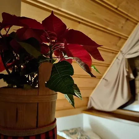 木屋 Kotelnica View Groń