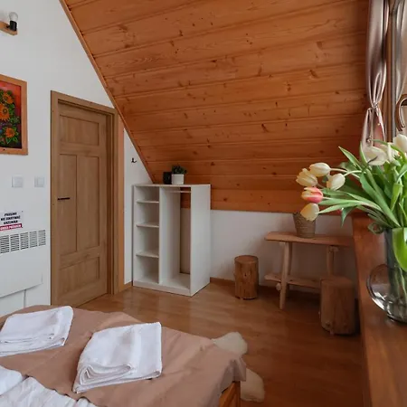 Kotelnica View Chalet