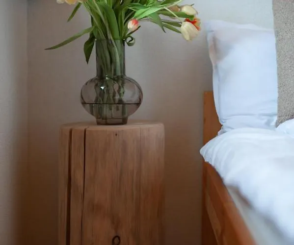 シャレー Kotelnica View *